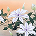 Koichi Nabatame Gallery